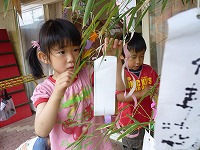 2010-07-07 (Wed) ̉摜