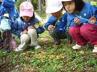 2010-10-05 (Tue) ̉摜