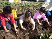 2010-11-09 (Tue) ̉摜