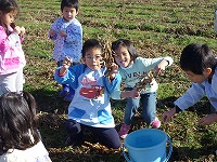 2010-11-24 (Wed) ̉摜