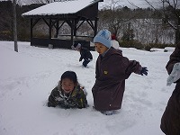 2011-01-19 (Wed) ̉摜