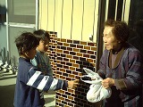 2006-11-16 (Thu) ̉摜