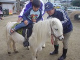 2006-12-18  (Mon) ̉摜