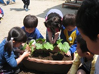 2007-05-12 (Sat) ̉摜