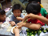 2009-07-08 (Wed) ̉摜