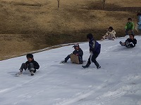 2010-02-04 (Thu) ̉摜