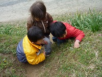 2010-04-16 (Fri) ̉摜
