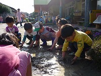2010-05-12 (Wed) ̉摜
