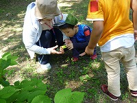 2010-07-27 (Tue) ̉摜