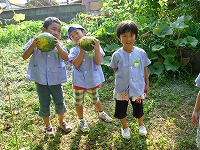 2010-08-03 (Tue) ̉摜