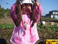 2010-11-08 (Mon) ̉摜