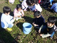 2010-11-24 (Wed) ̉摜