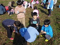 2010-11-24 (Wed) ̉摜