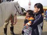 2006-12-18 (Mon) ̉摜