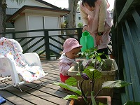 2007-05-12 (Sat) ̉摜