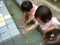 2007-10-01 (Mon) ̉摜