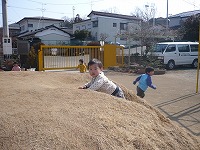 2008-02-23 (Sat) ̉摜