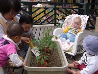 2008-05-12 (Mon) ̉摜