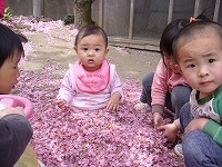2008-05-12 (Mon) ̉摜