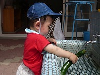 2008-08-13 (Wed) ̉摜