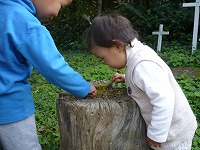 2008-10-31 (Fri) ̉摜