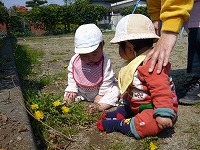 2009-04-30 (Thu) ̉摜