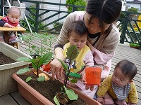 2009-05-11 (Mon) ̉摜