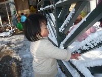 2010-02-02 (Tue) ̉摜
