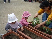 2010-05-07 (Fri) ̉摜