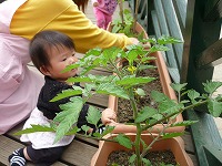 2010-05-19 (Wed) ̉摜