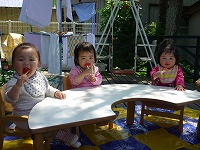 2010-06-09 (Wed) ̉摜