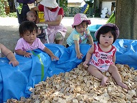 2010-08-06 (Fri) ̉摜