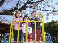 2011-02-24 (Thu) ̉摜