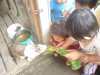 2007-06-27 (Wed) ̉摜