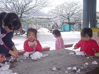 2008-01-12 (Sat) ̉摜