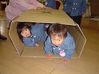 2008-02-25 (Mon) ̉摜