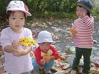 2008-10-20 (Mon) ̉摜