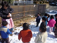 2010-02-05 (Fri) ̉摜
