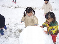 2010-02-12 (Fri) ̉摜