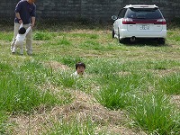 2010-04-21 (Wed) ̉摜