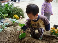 2010-05-07 (Fri) ̉摜