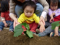 2010-05-07 (Fri) ̉摜