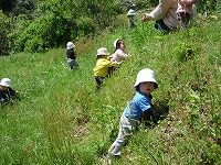 2010-05-13 (Thu) ̉摜
