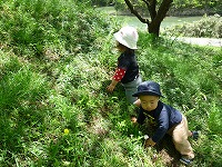 2010-05-13 (Thu) ̉摜
