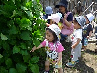 2010-06-24 (Thu) ̉摜