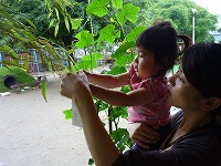 2010-07-07 (Wed) ̉摜