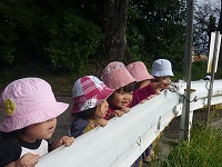 2010-10-19 (Tue) ̉摜