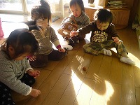 2011-01-07 (Fri) ̉摜