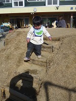 2011-01-21 (Fri) ̉摜