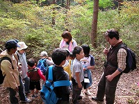 2006-11-06 (Mon) ̉摜